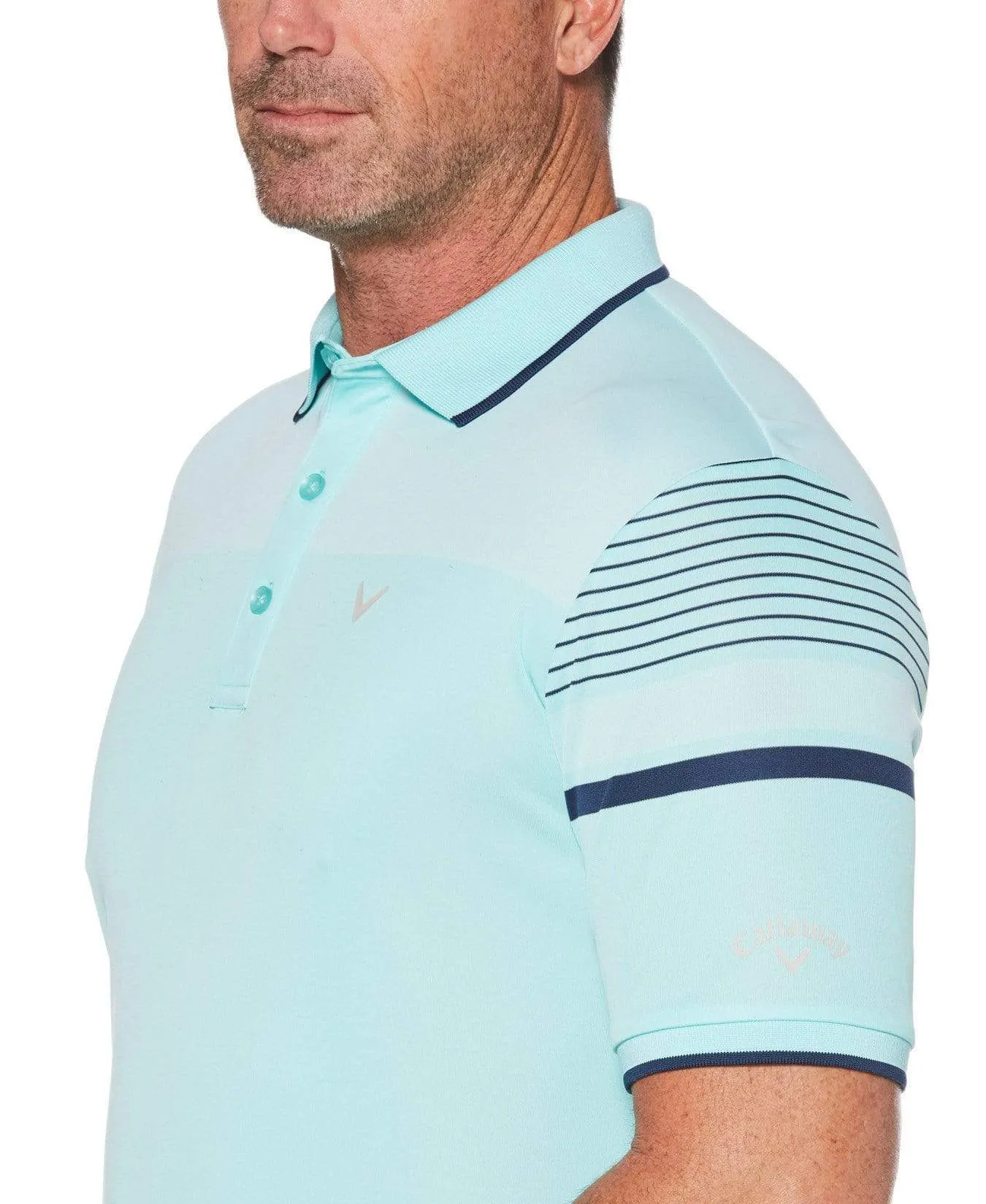 Mens Engineered Stripe Birdseye Polo