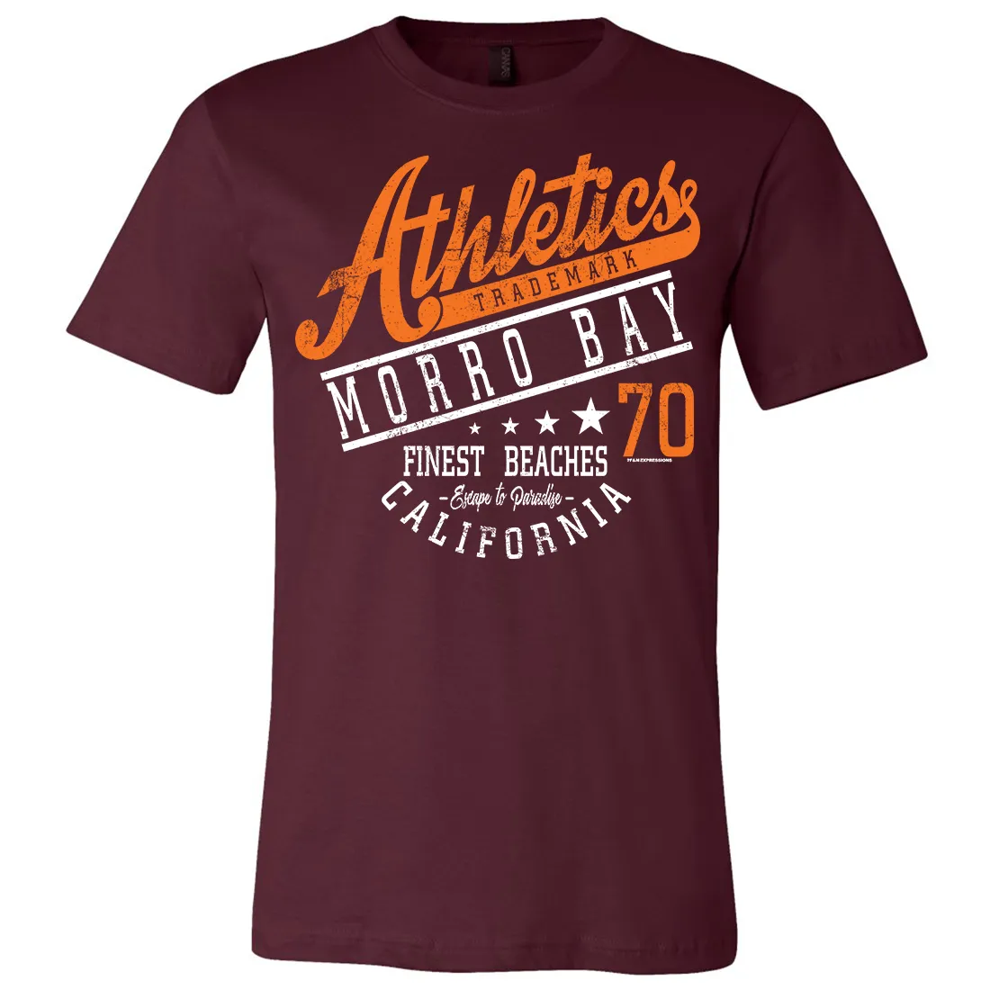 Morro Bay Athletics Asst Colors Mens Lightweight Fitted T-Shirt/tee