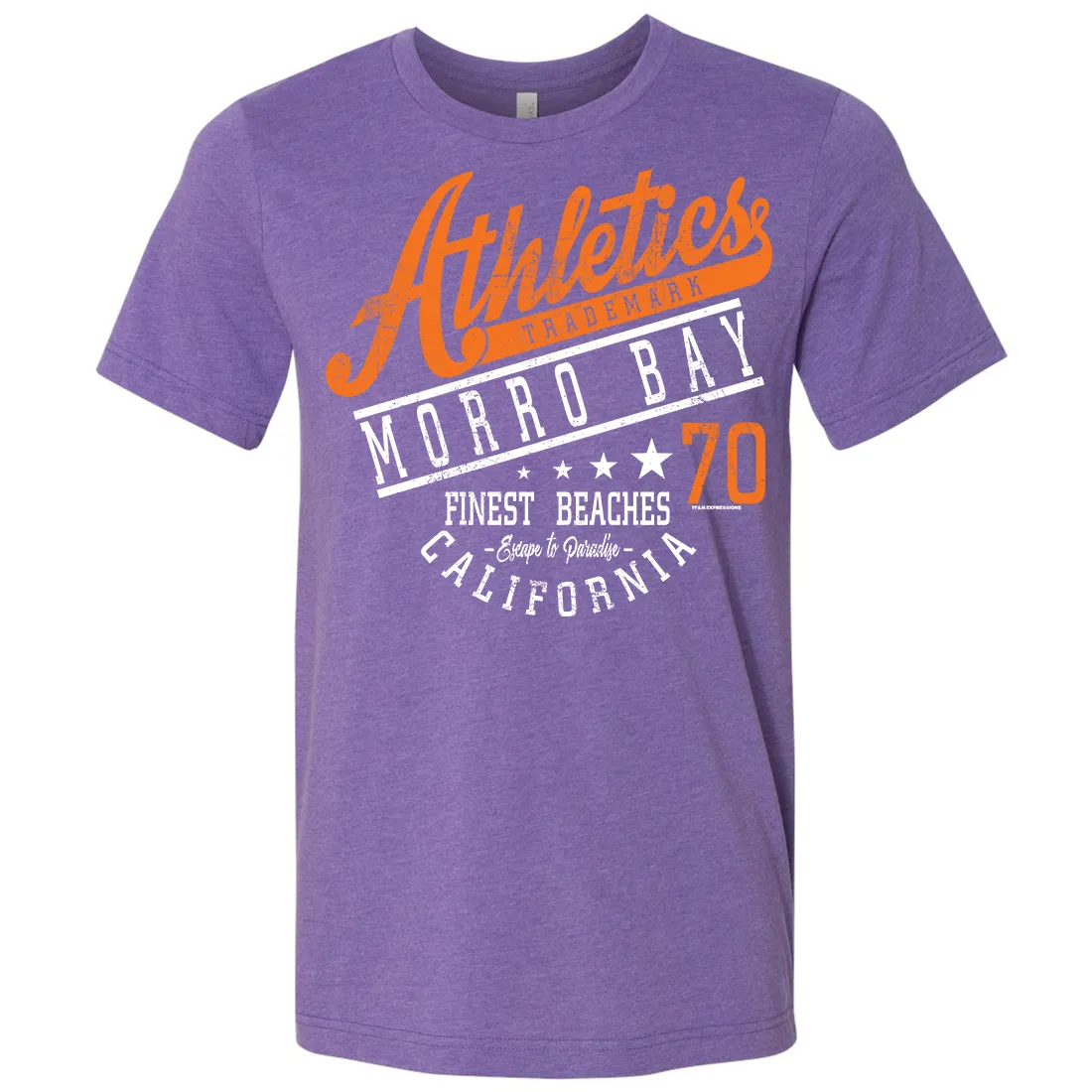 Morro Bay Athletics Asst Colors Mens Lightweight Fitted T-Shirt/tee