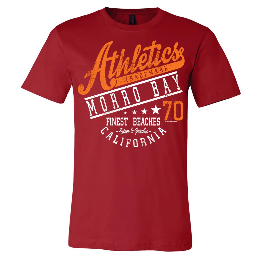 Morro Bay Athletics Asst Colors Mens Lightweight Fitted T-Shirt/tee