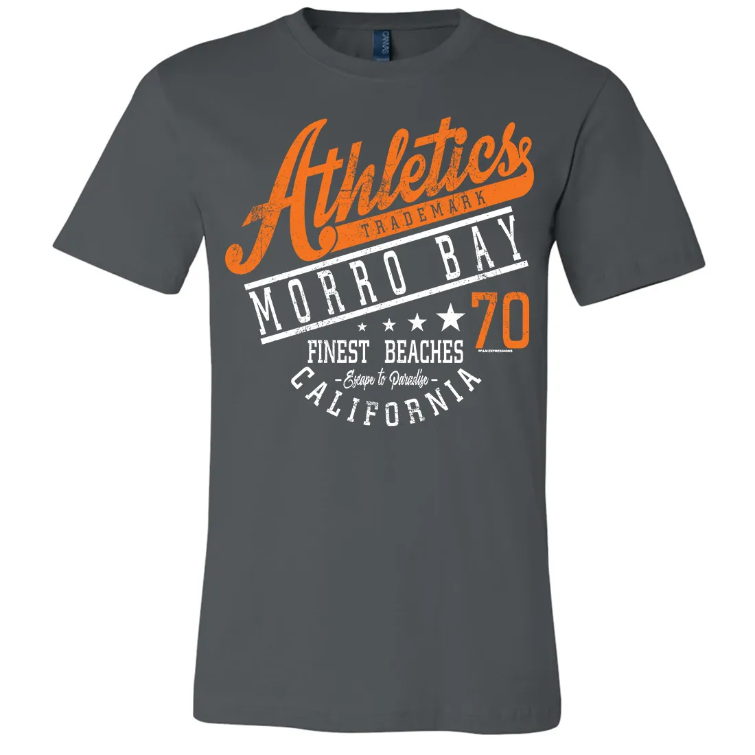 Morro Bay Athletics Asst Colors Mens Lightweight Fitted T-Shirt/tee