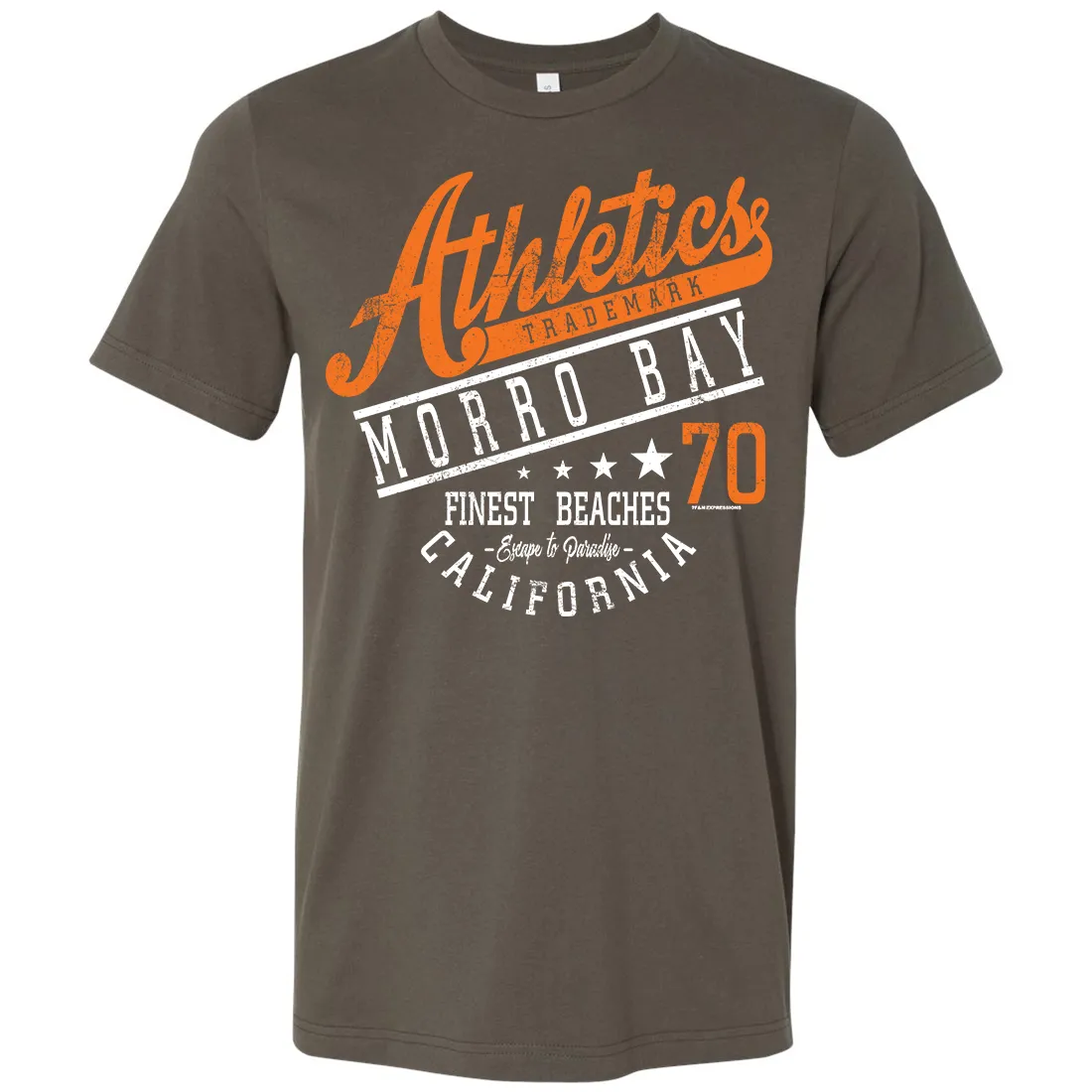 Morro Bay Athletics Asst Colors Mens Lightweight Fitted T-Shirt/tee