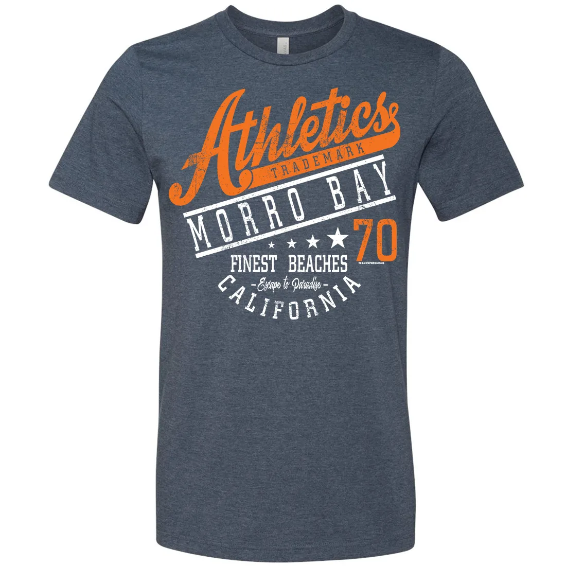 Morro Bay Athletics Asst Colors Mens Lightweight Fitted T-Shirt/tee