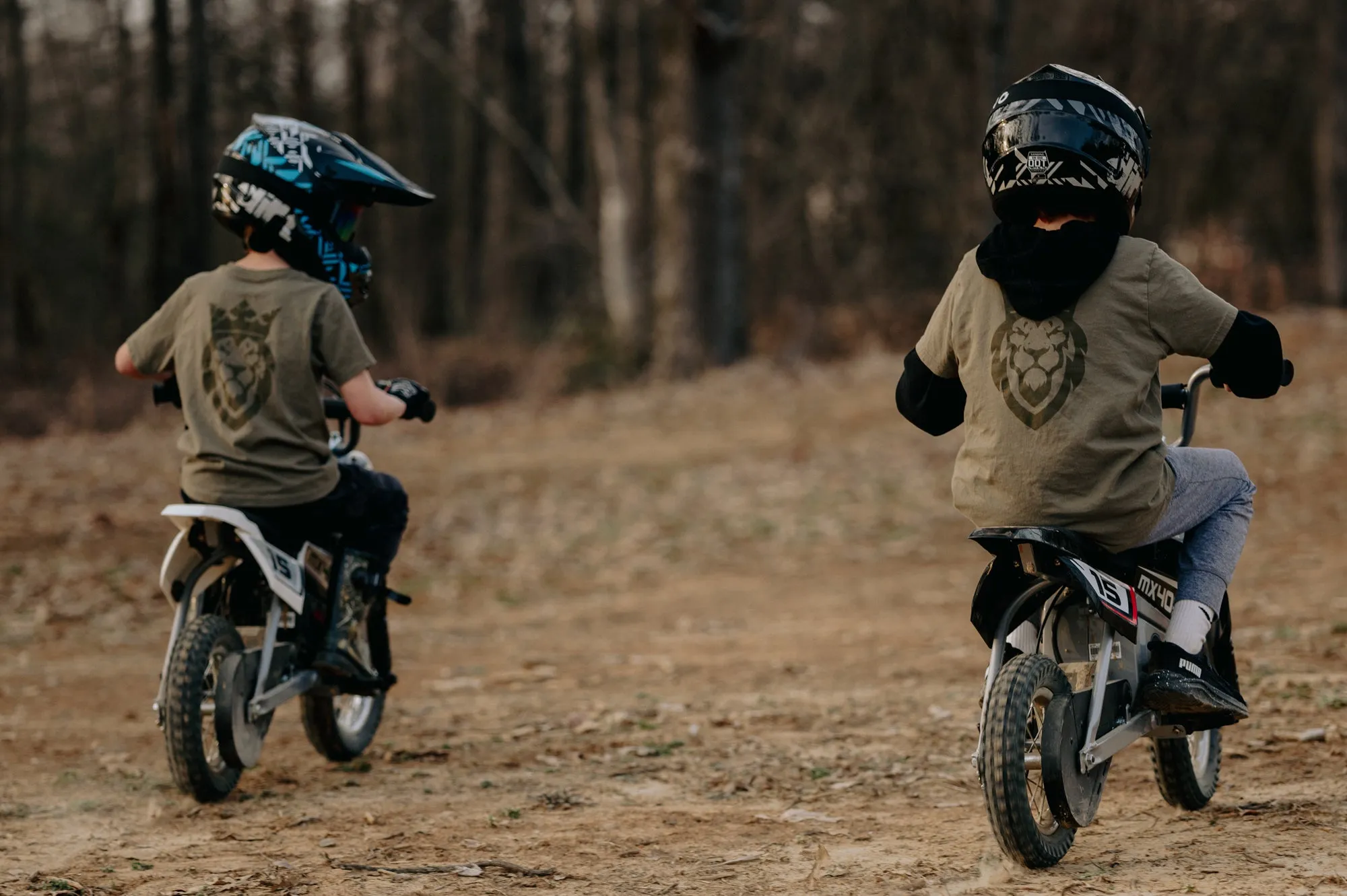 Youth Fearless and Free Lion Short Sleeve T-Shirt